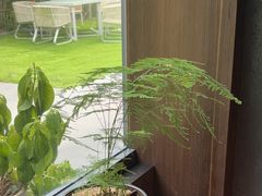 -虹之森·小馆