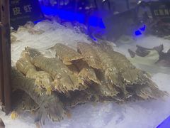 -九月海·海鲜自助(世纪东方店)