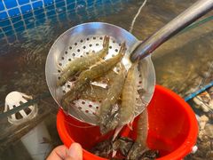 -港畔赶海蒸汽海鲜烧烤自助(仙螺岛店)