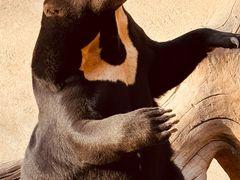 -北京野生动物园