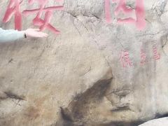 -武汉大学-樱园