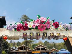 -贵州百里杜鹃风景名胜区