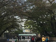 -名古屋城