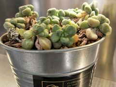 -CoCo都可(360丰产店)