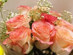 -1861意大利餐厅(文化广场店)