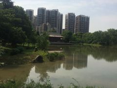 -堤角公园