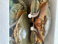 -大东海海鲜酒楼(渔人码头总店)