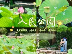 -黄兴公园