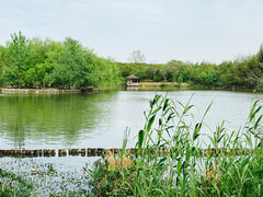 -大千天鹅湖庄园