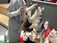 -瑞虹新天地月亮湾