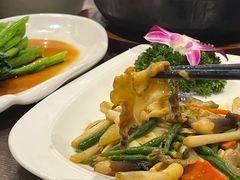 花生苗炒海螺片-周锦记广式餐厅(格林生活坊2期店)