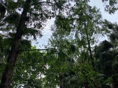 -成都动物园