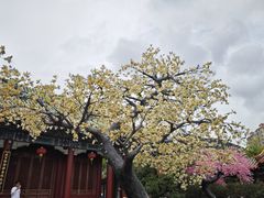 -珠海圆明新园