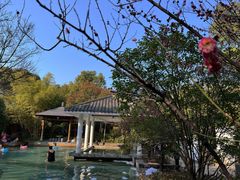 -深业半汤御泉庄温泉