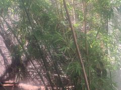 -潇湘·永州会馆(百子湾店)