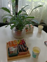 -比华利美容医院