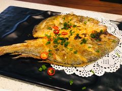 -九府羊·鲜羊火锅·烤串(新华路店)