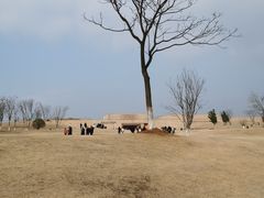 -盘龙城国家考古遗址公园