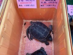 -荔城生鲜盛宴(番禺旗舰店)
