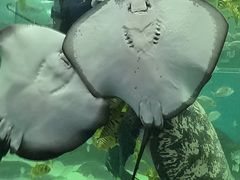 -苏州海洋馆