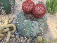 -华南国家植物园-售票处