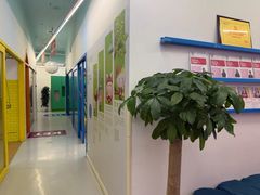 -英孚教育青少儿(南坪中心)