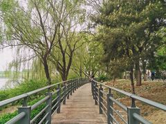 -大兴滨河森林公园