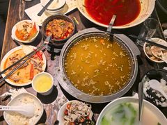 -陈麻婆豆腐(旗舰店)