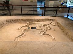 -洛阳周王城天子驾六博物馆