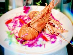 -蝶园·装修中(BFC外滩金融中心店)