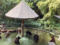 -深圳野生动物园