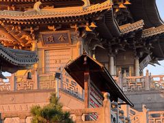 -千年银杏谷文化旅游区