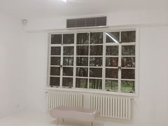 -胶囊画廊