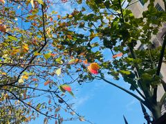 -永乐路-路侧停车场