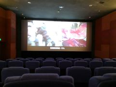 -太平洋影院(西村店)