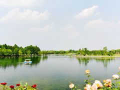 -上海辰山植物园