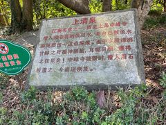 -上海佘山国家森林公园天马山园