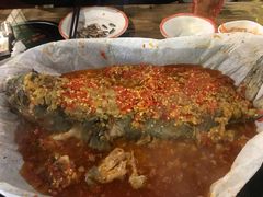 -川渝窈妹纸包鱼·齐齐哈尔烤肉