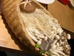 -大龙燚火锅