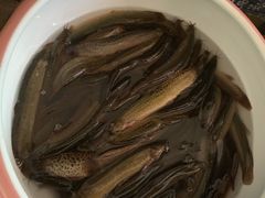 -百味地锅鸡(二店·财校分店)