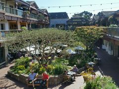 android_upload_pic-卡梅尔海