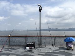 -深圳湾公园(南山区)