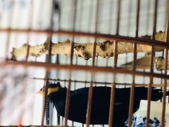 -府学·秋果S酒店(北京南锣鼓巷四合院店)