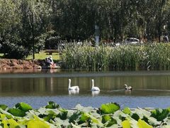 -吉林大学(前卫南区)