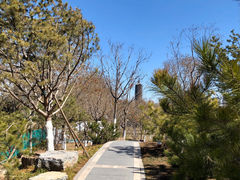 -西海子公园