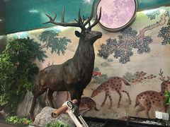 -新白鹿餐厅(金鹰新街口店)