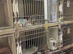 -美迦爱-牙专科·兔科·骨科诊疗中心(北苑店)