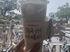 -猫的魔法密林(衣裳街店)