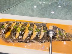 -浩运·海鲜青岛菜·海胆水饺(石老人店)