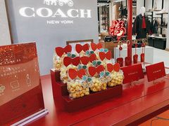 -COACH蔻驰(星光68广场店)